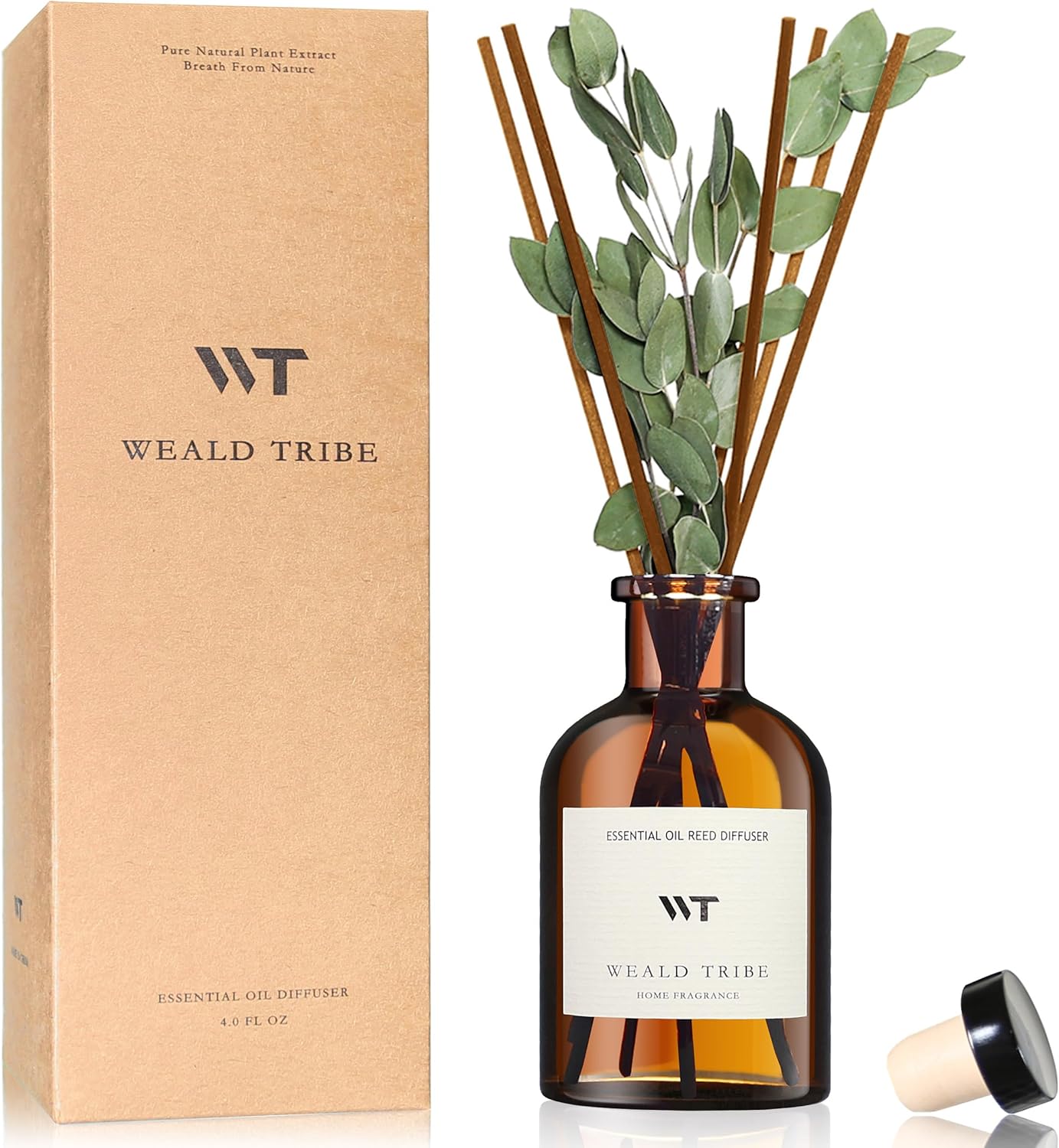 Home Fragrance Long Lasting - Eucalyptus & Lavender Reed Diffuser Set,