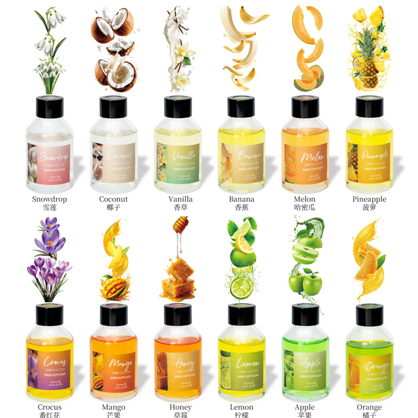 Home Fragrance Long Lasting - 100ml Floral Fruity Reed Diffuser Set