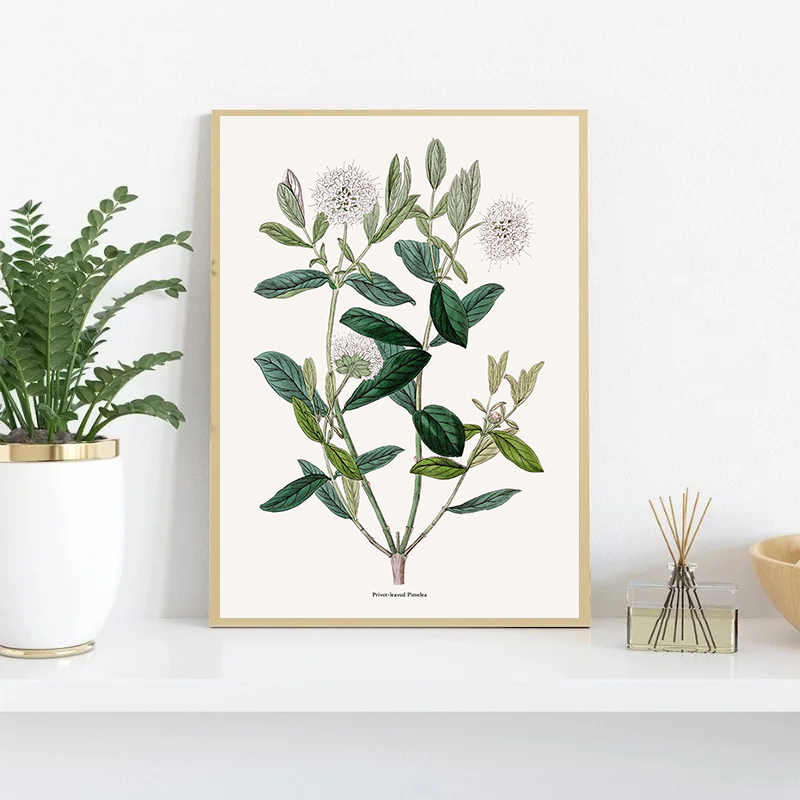 Vintage Botanical Flowers Post - Home Fragrance Jasmine recension och pris
