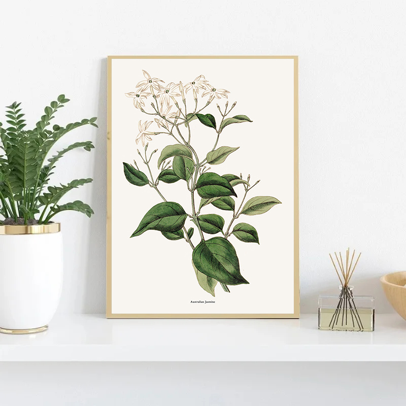 Vintage Botanical Flowers Post - Home Fragrance Jasmine recension och pris
