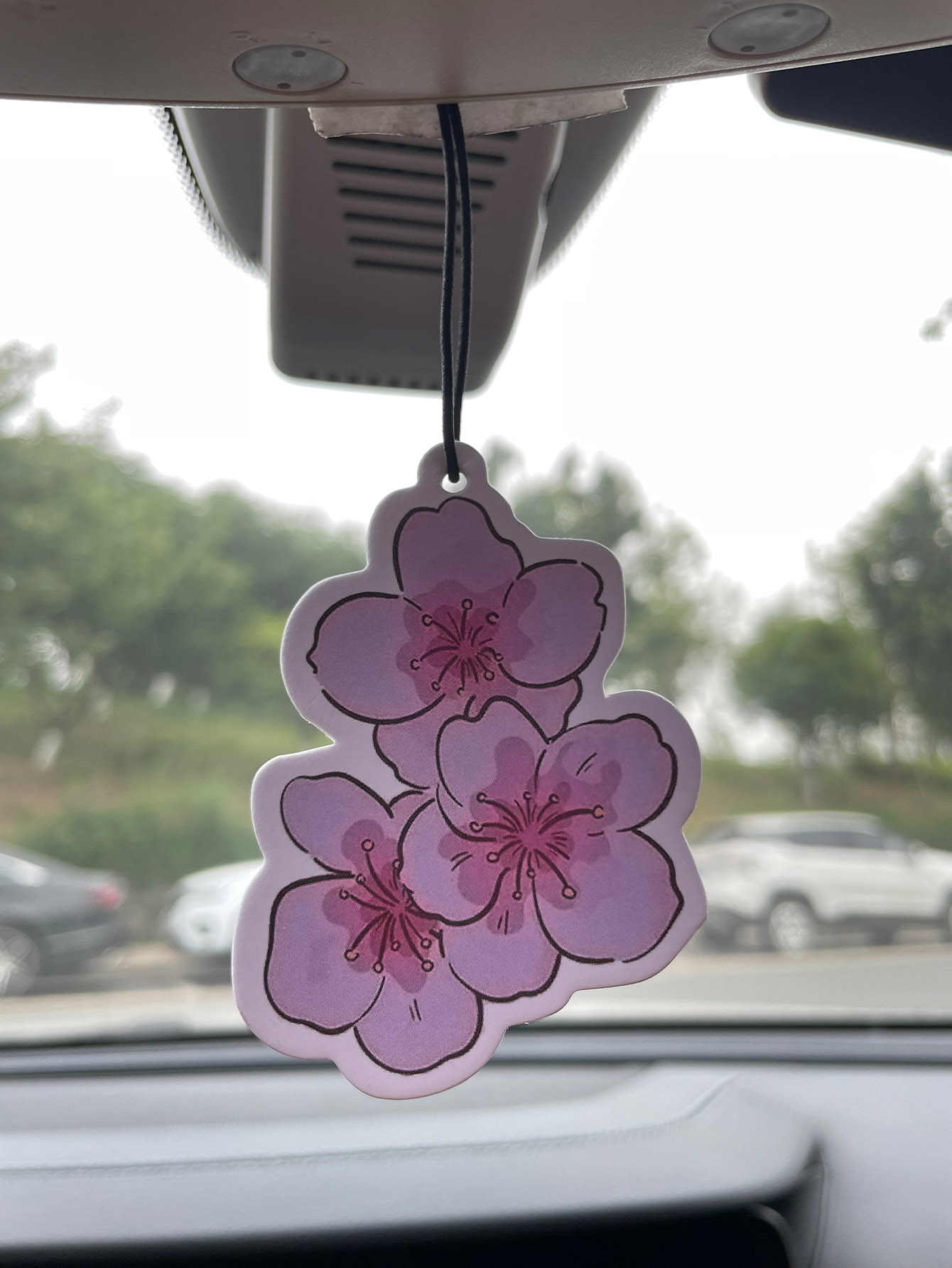 Sakura/Freesia Fresh Scent Fiv - Home Fragrance Wholesale recension och pris