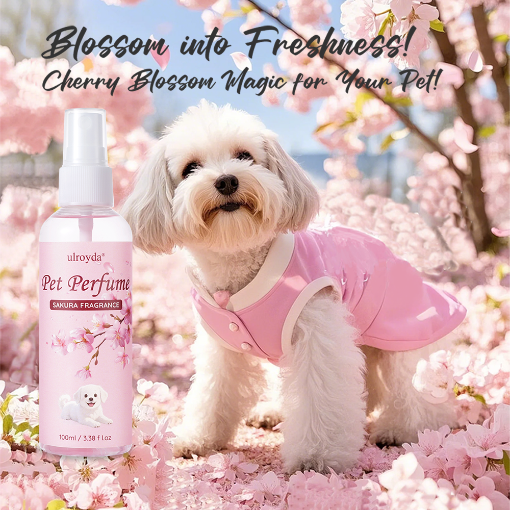 Sakura Pet Perfume Spray Long  - Home Fragrance Long Lasting recension och pris
